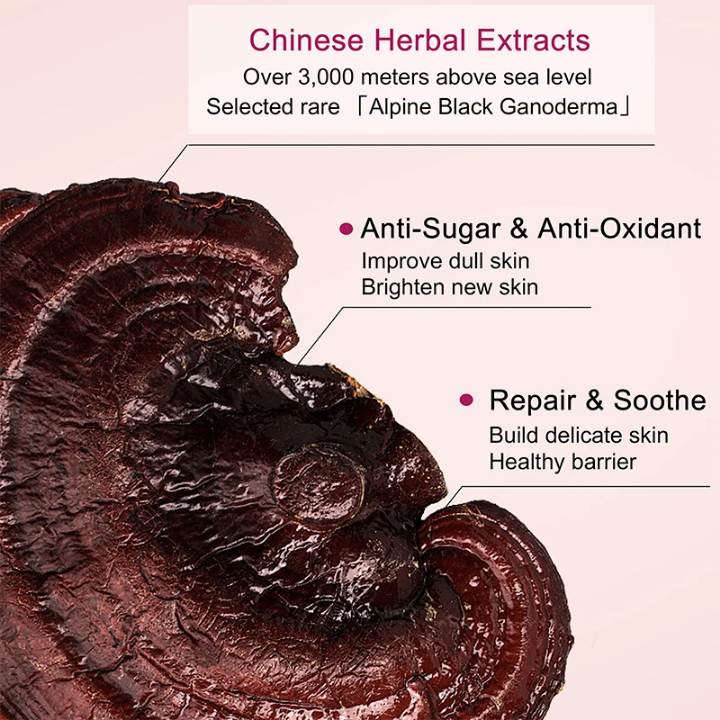 Collagen Acide hyaluronique_3