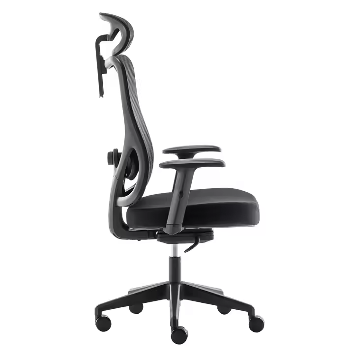 Chaise élévatrice ergonomique _4