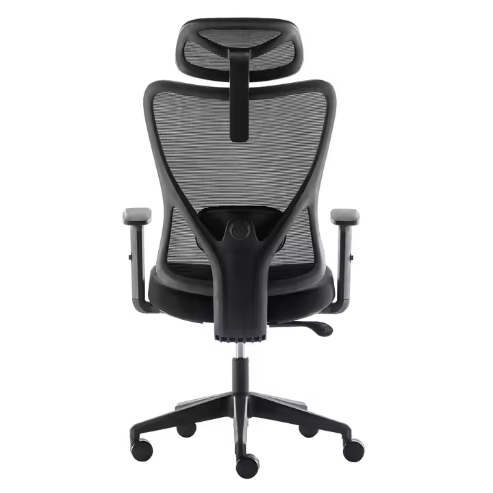 Chaise élévatrice ergonomique _1