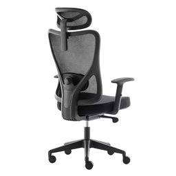 Chaise élévatrice ergonomique 