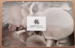 Mixed Box - Italian/Florida Oysters (Most Popular)