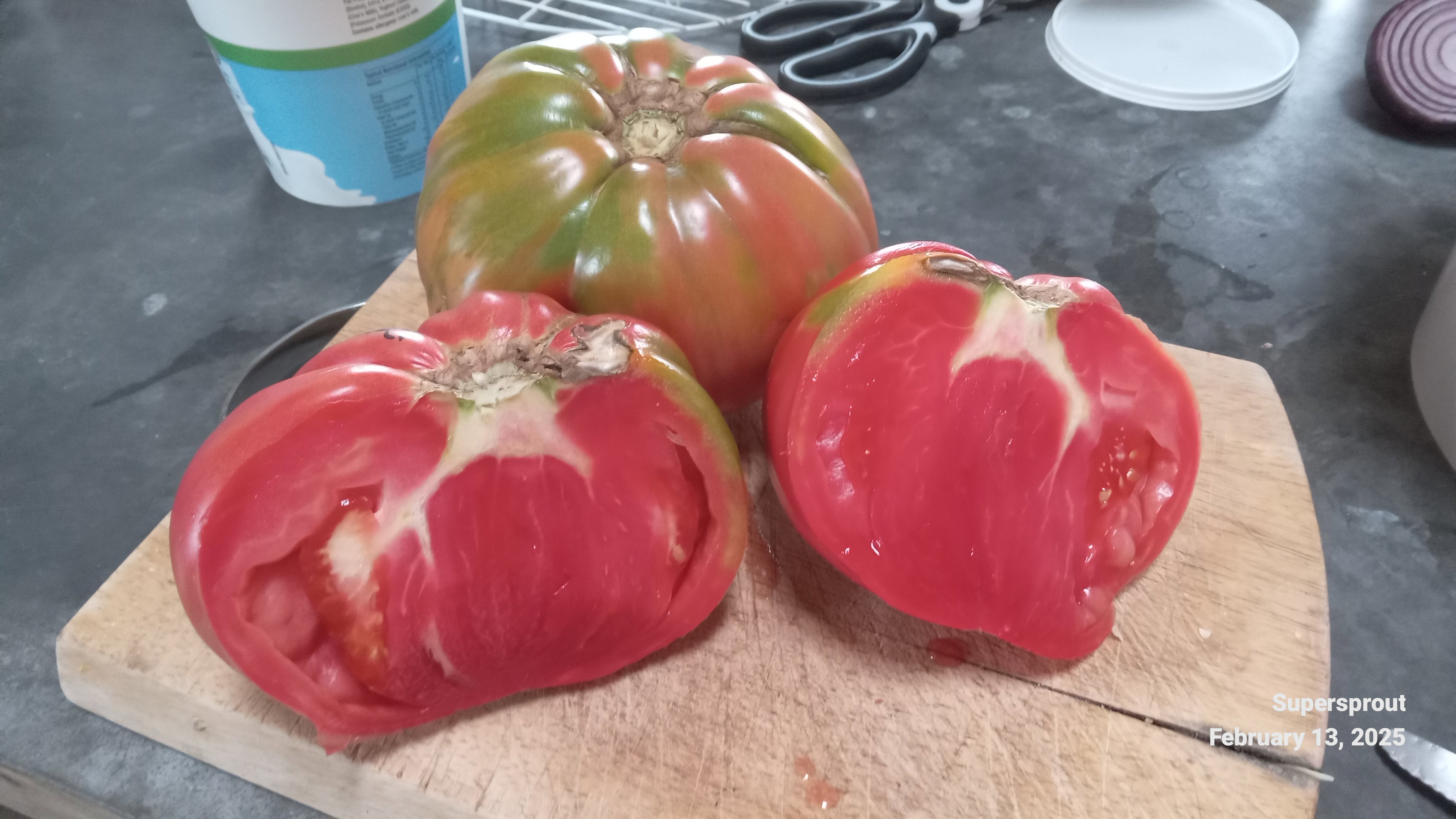 DOMINGO GIANT TOMATO x 10 seeds_3