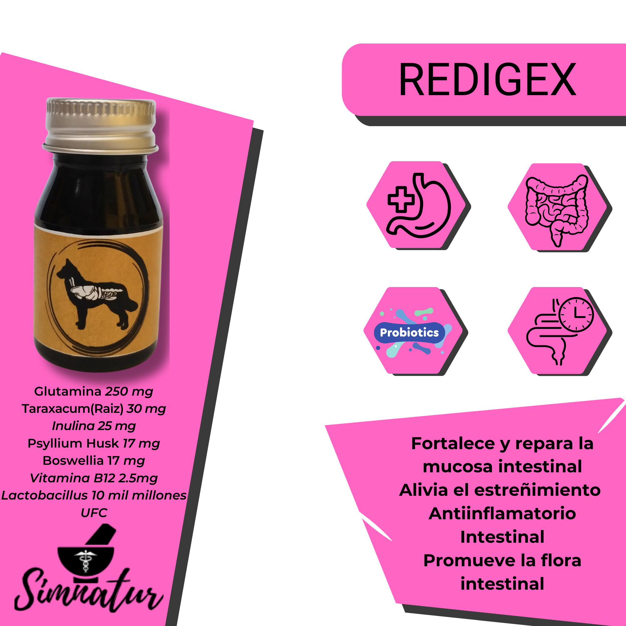 ReDigex_0
