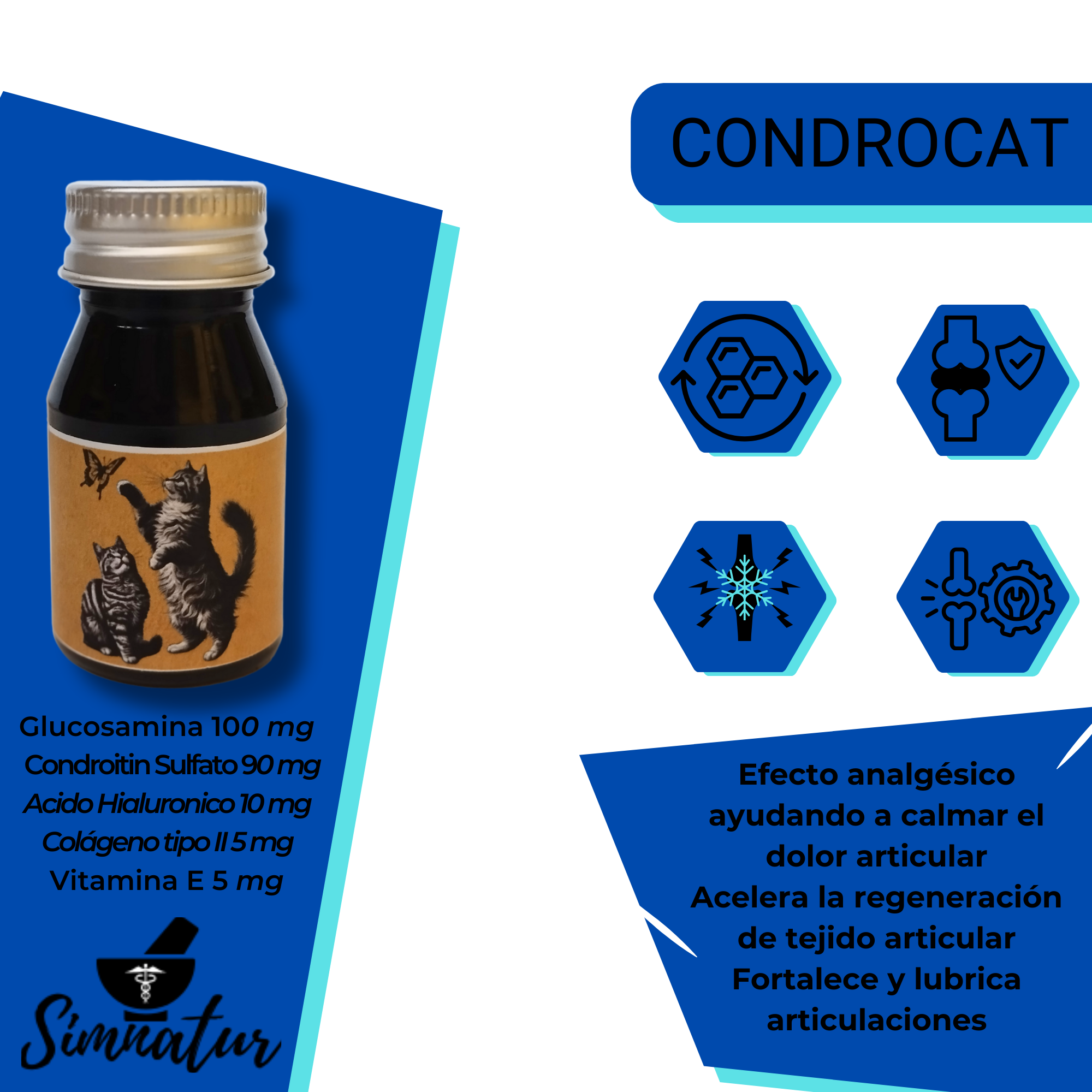 Condroprotector_1