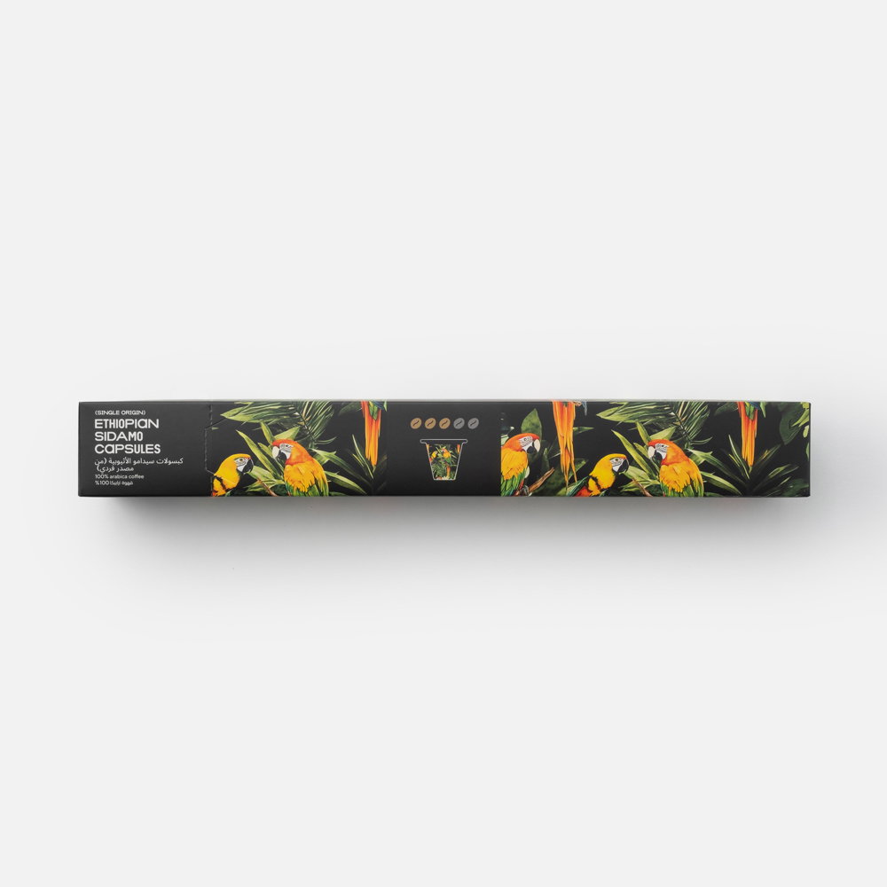 Roots Ethiopian Sidamo (Single Origin) Coffee Capsules 10pcs_0