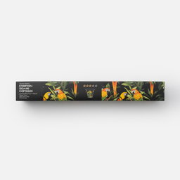 Roots Ethiopian Sidamo (Single Origin) Coffee Capsules 10pcs