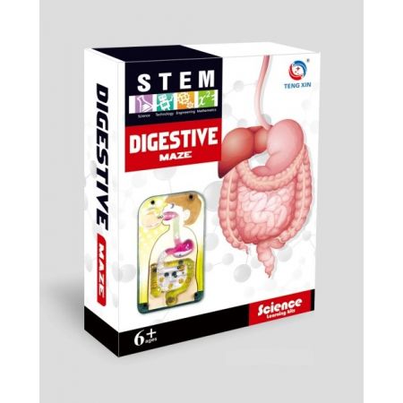 Digestive Maze_0
