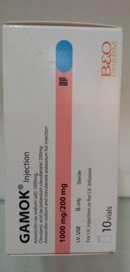 AMOXICILLIN INJECTION (1000/200MG)