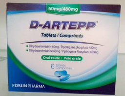 D-ARTEPP (60MG/480MG)