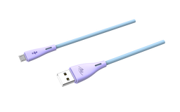 Câble ICD-M21