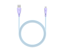 Câble ICD-M21