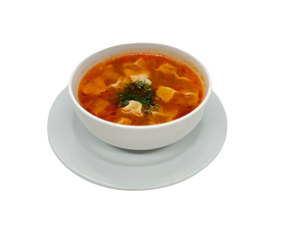 Dumpling soup 