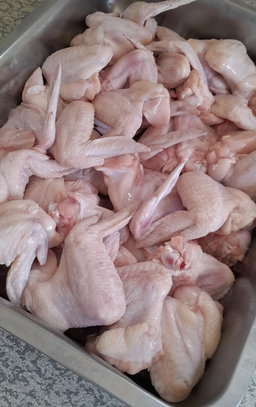 Wingz/Vipapatio