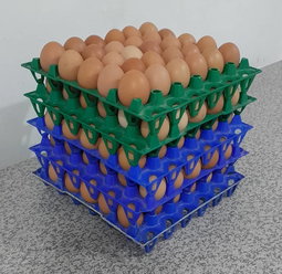 Normal Eggz/Mayai Kisasa Makubwa