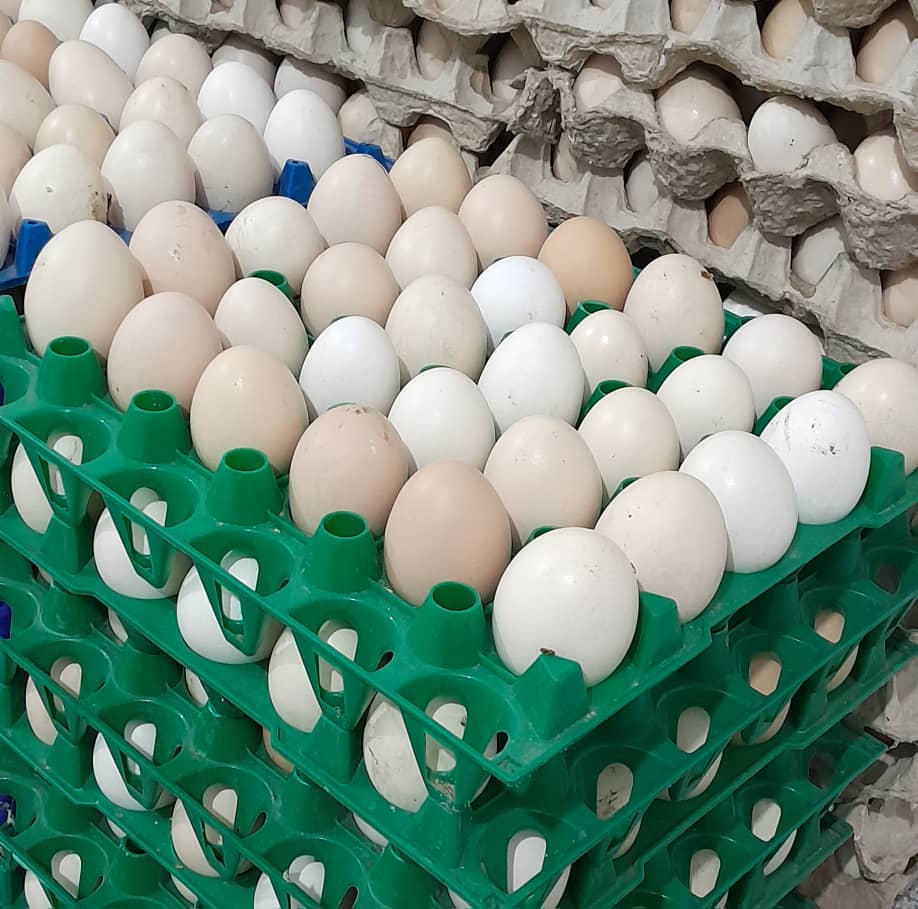 Local Eggz/Mayai Kienyeji_0