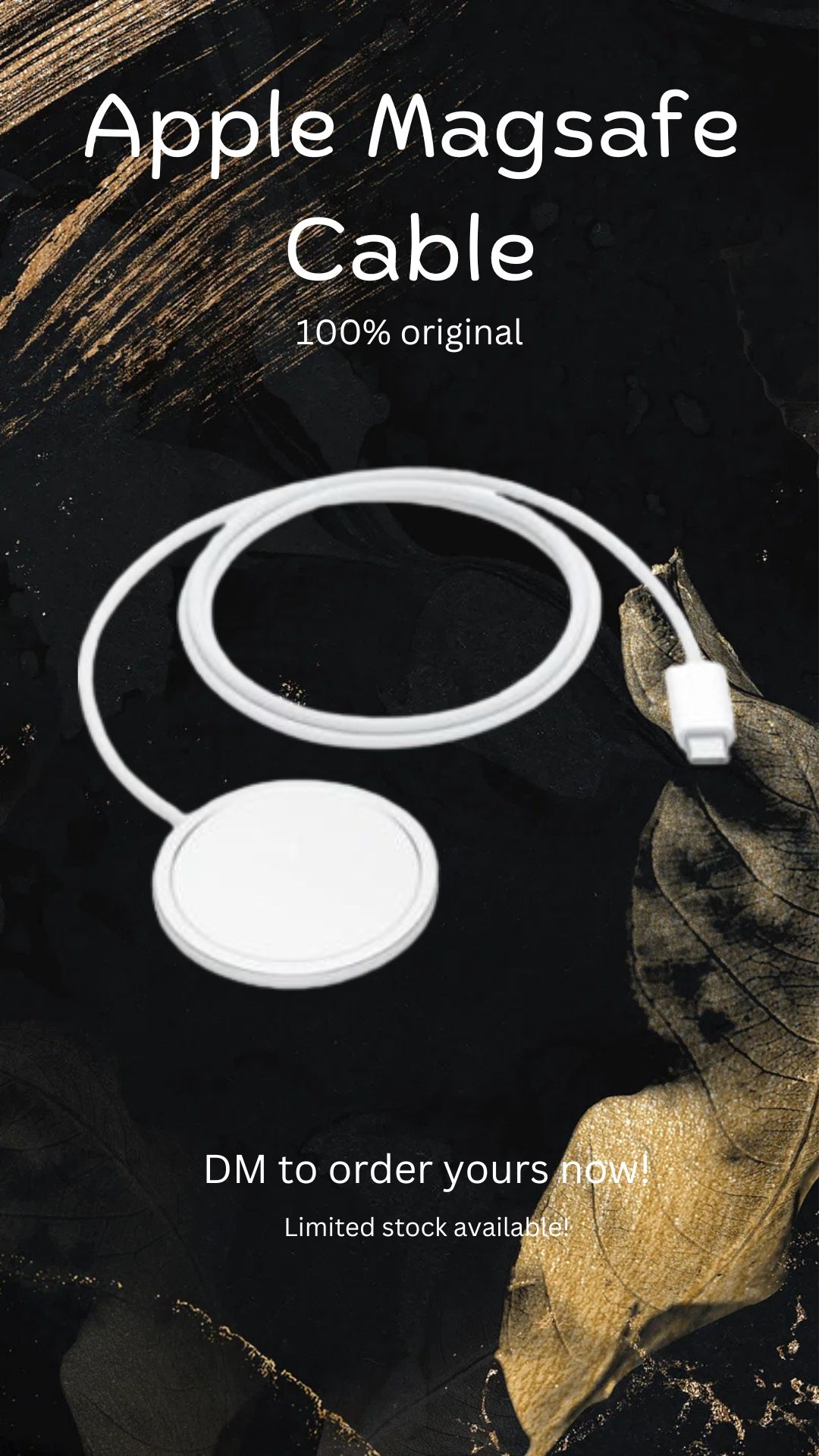 Apple MagSafe Cable_0