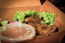 Frozen Chicken Satay