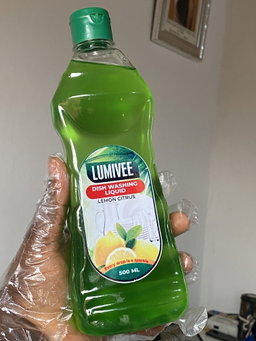 DISHWASHING LIQUID (500ml)