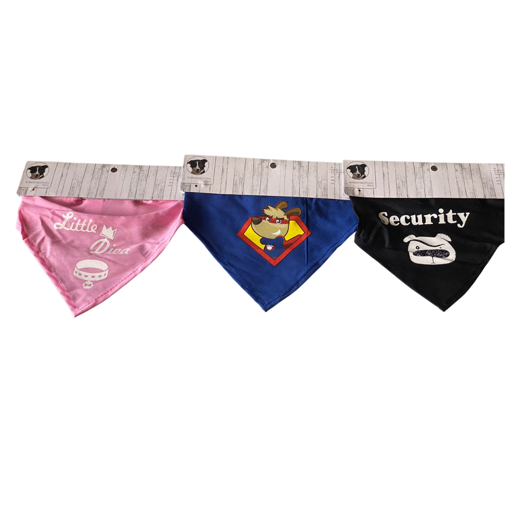 Bandana Disney_0