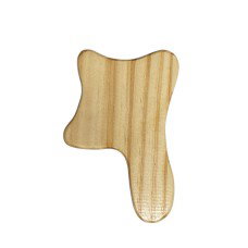 Lymph Plank Small_0