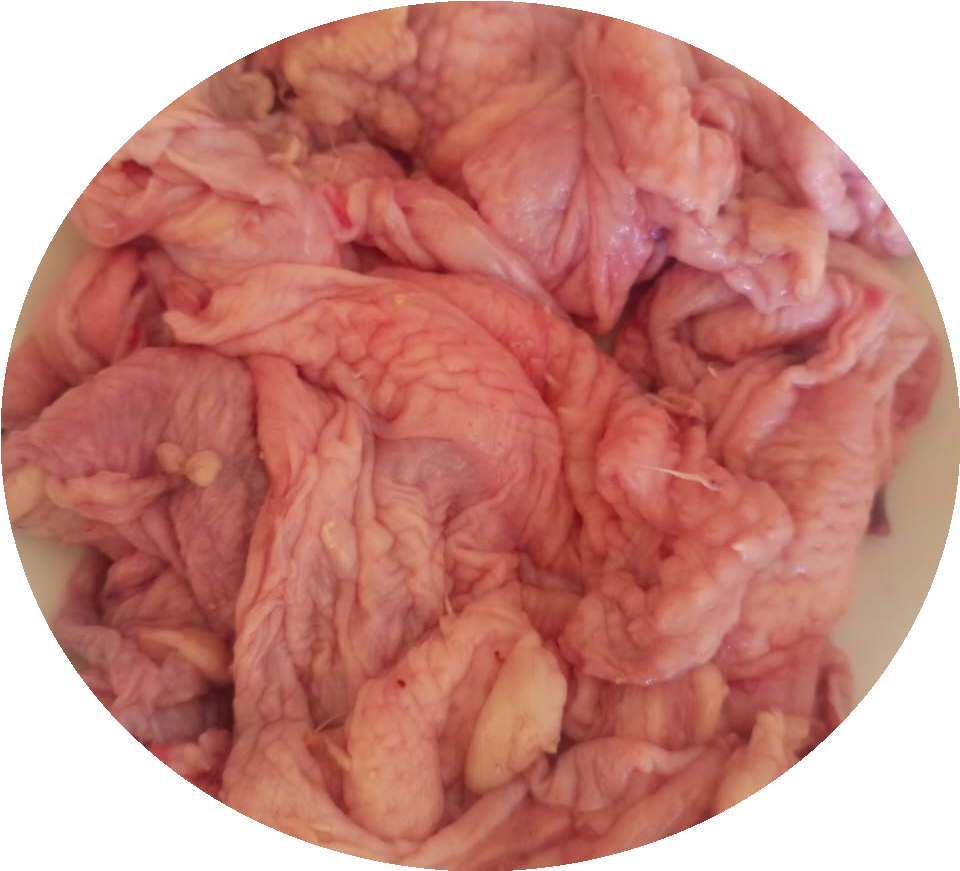 Chicken skin