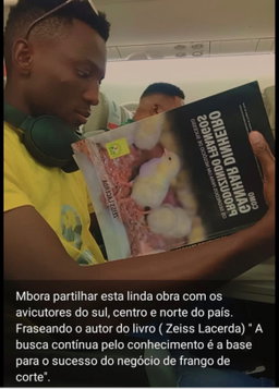 Livro: Como ganhar dinheiro produzindo frangos?