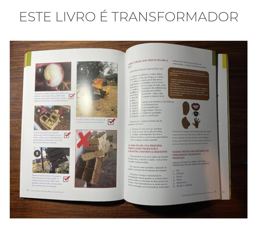 Livro: Como ganhar dinheiro produzindo frangos?_1