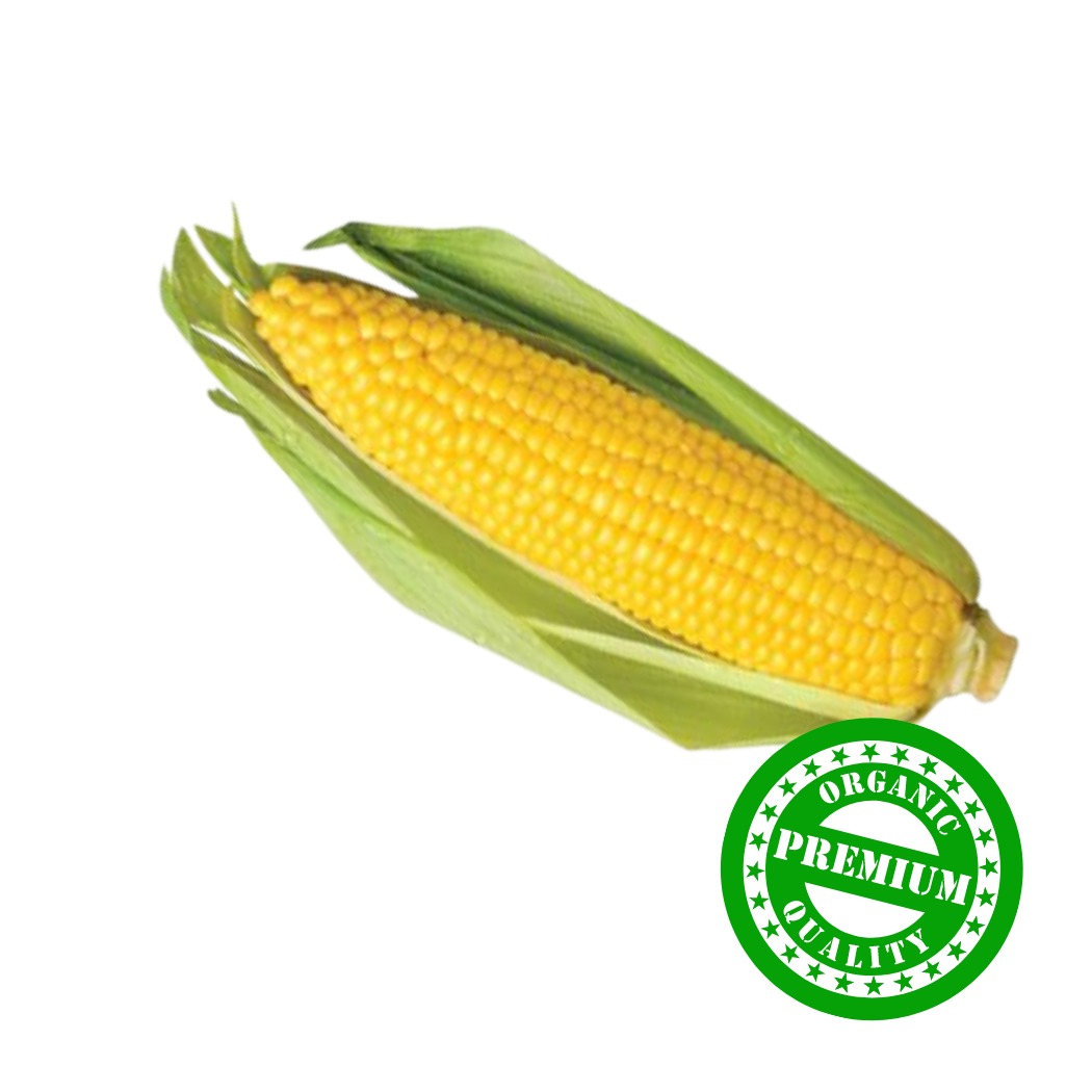 Organic Sweet Corn