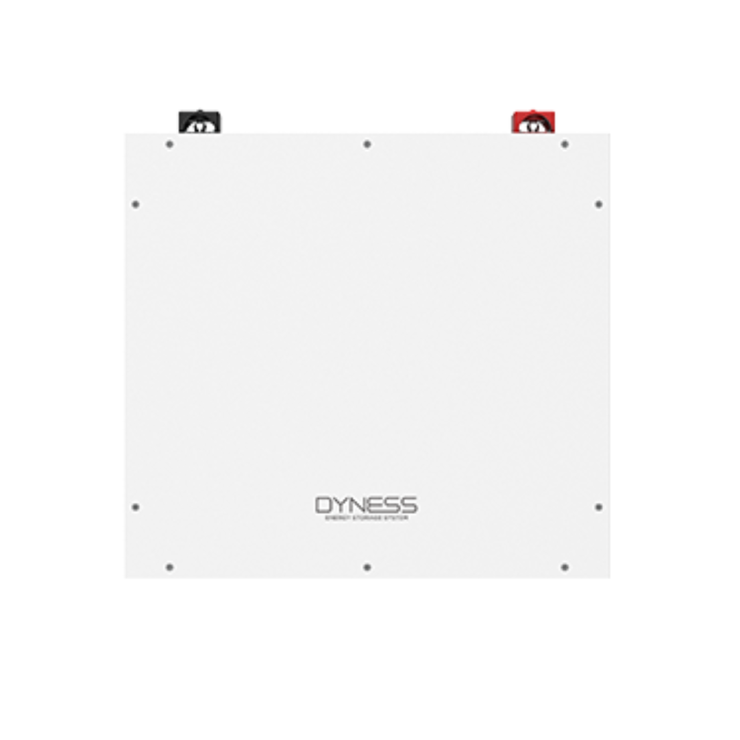 Dyness 51.2v, 100Ah Model # DL5.0C Lithium Ion Battery_0