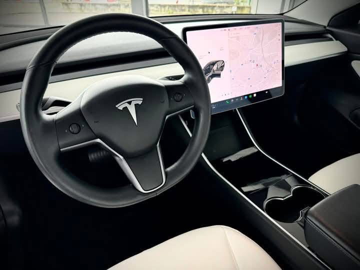 TESLA MODEL 3 Standard /2020_6