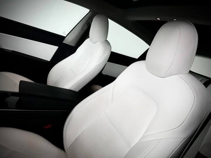 TESLA MODEL 3 Standard /2020_5