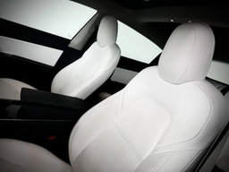 TESLA MODEL 3 Standard /2020