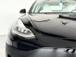 TESLA MODEL 3 Standard /2020