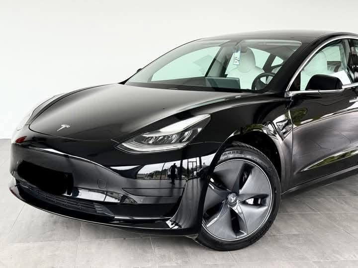 TESLA MODEL 3 Standard /2020_9