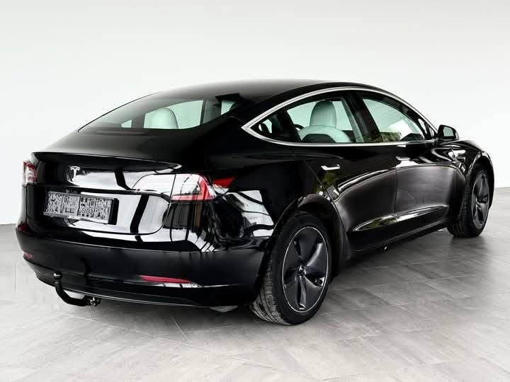 TESLA MODEL 3 Standard /2020_8