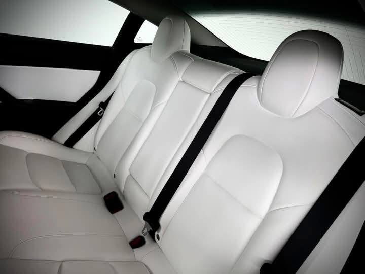 TESLA MODEL 3 Standard /2020_0