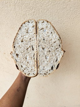 Sourdough