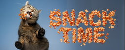 Cat Snacks