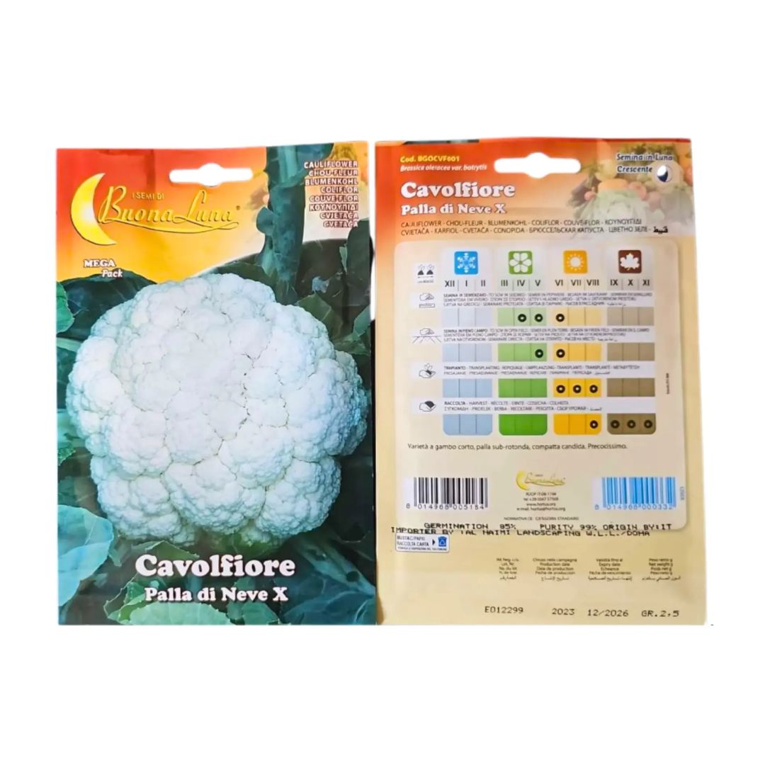 Cauliflower Seed_0