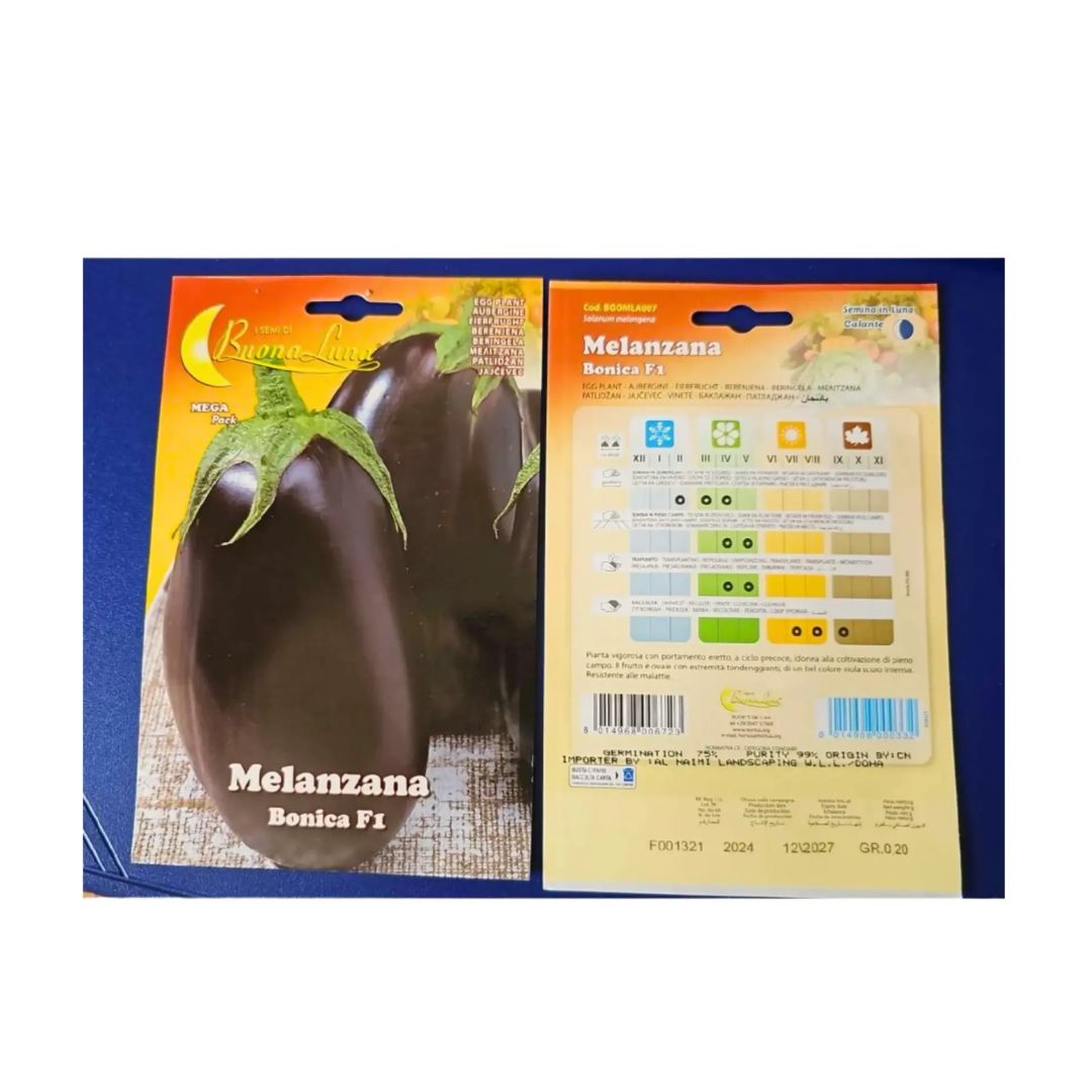 Egg Plant Seed 4