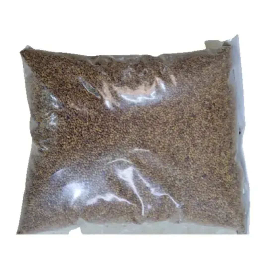 Jarjir Seed
