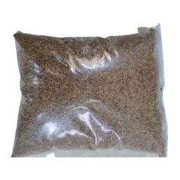 Jarjir Seed