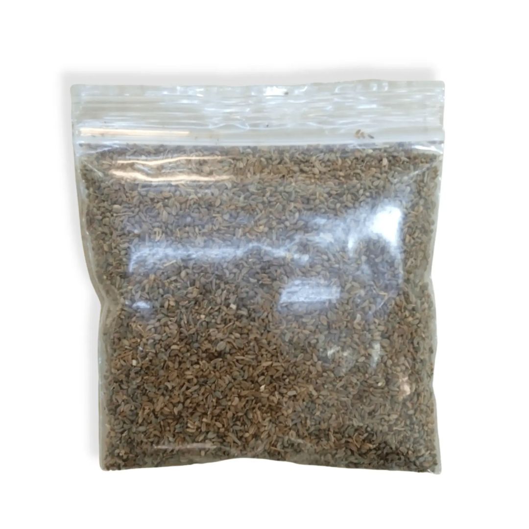 Parsley Seeds_0