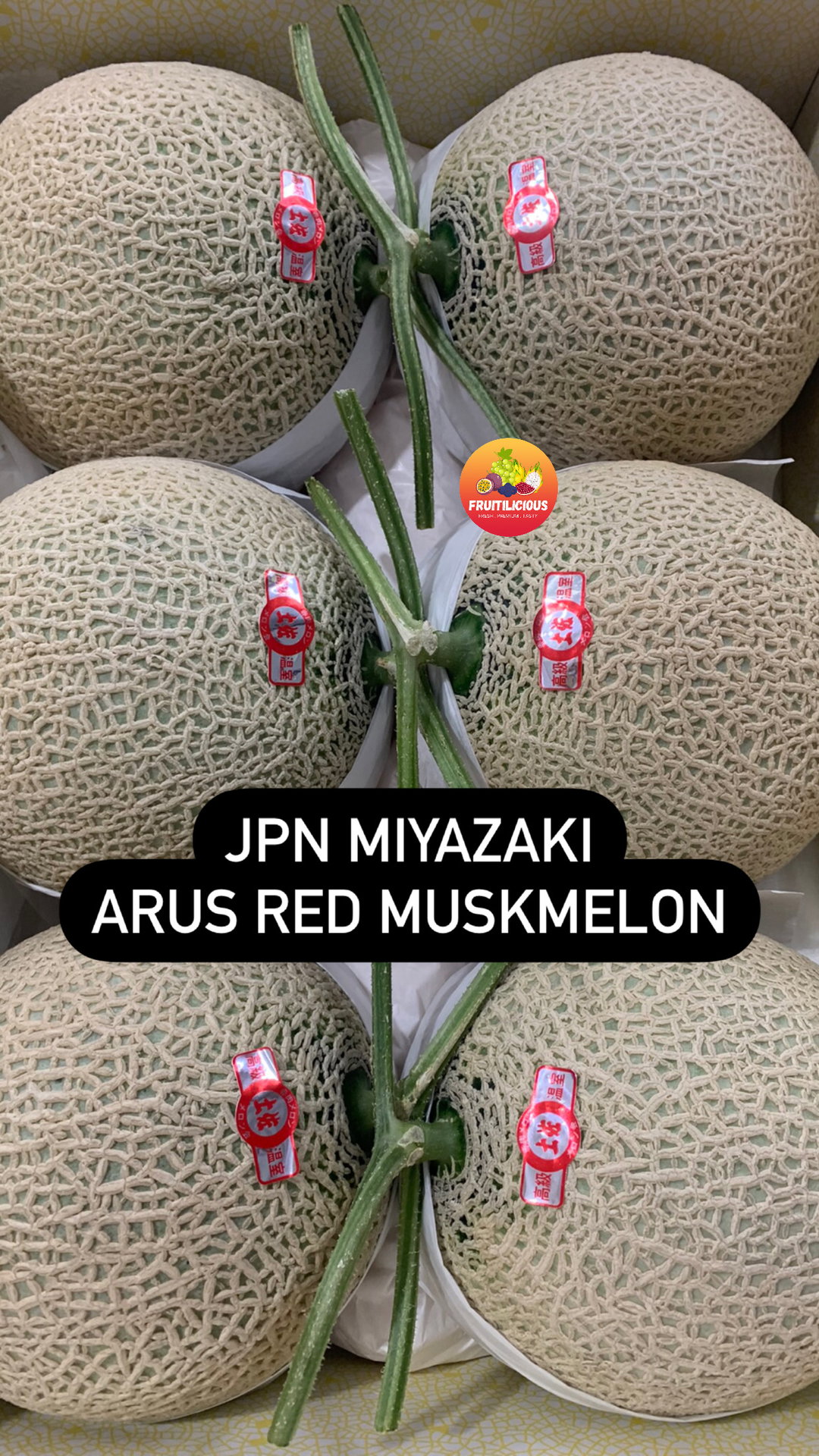 JPN KUMAMOTO ARUS RED MUSKMELON