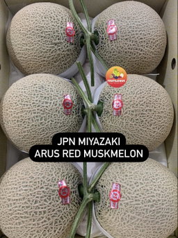 JPN KUMAMOTO ARUS RED MUSKMELON
