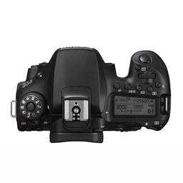 Canon Camera 