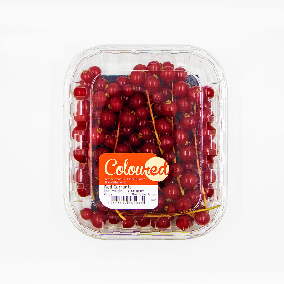 Red Currant