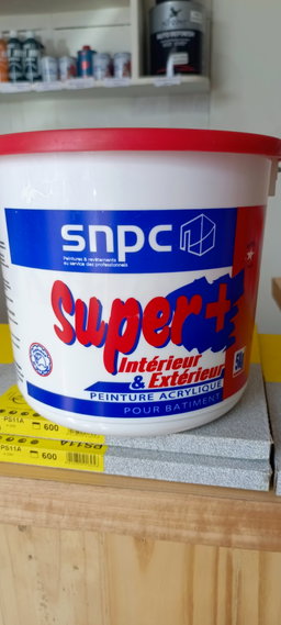 Peinture Batiment