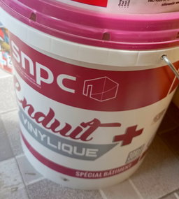 SNPC ENDUIT + VINYLIQUE 30KG