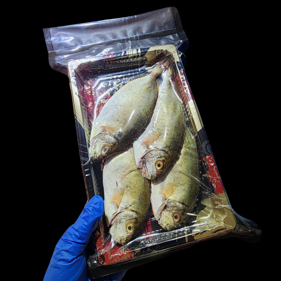 游水泥鯭魚🧊（約12兩）(已清洗及處理好)_0